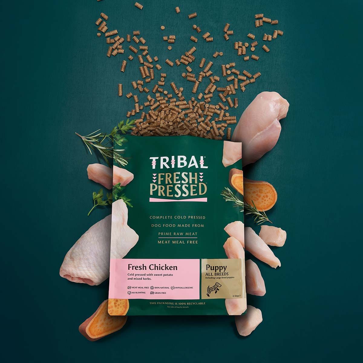 Tribal Fresh Chicken Puppy Cold Pressed Dog Food | Meat Meal Free | Grain Free | Hypoallergenic | All Breeds including Large | 2.5kg-5kg