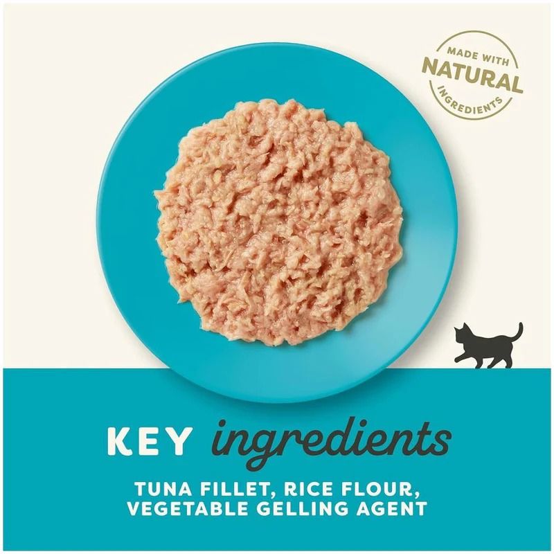Applaws Natural Kitten Food | Tuna Fillet in Jelly | Made with Natural Ingredients | for Kittens up to 12 Months | 70g